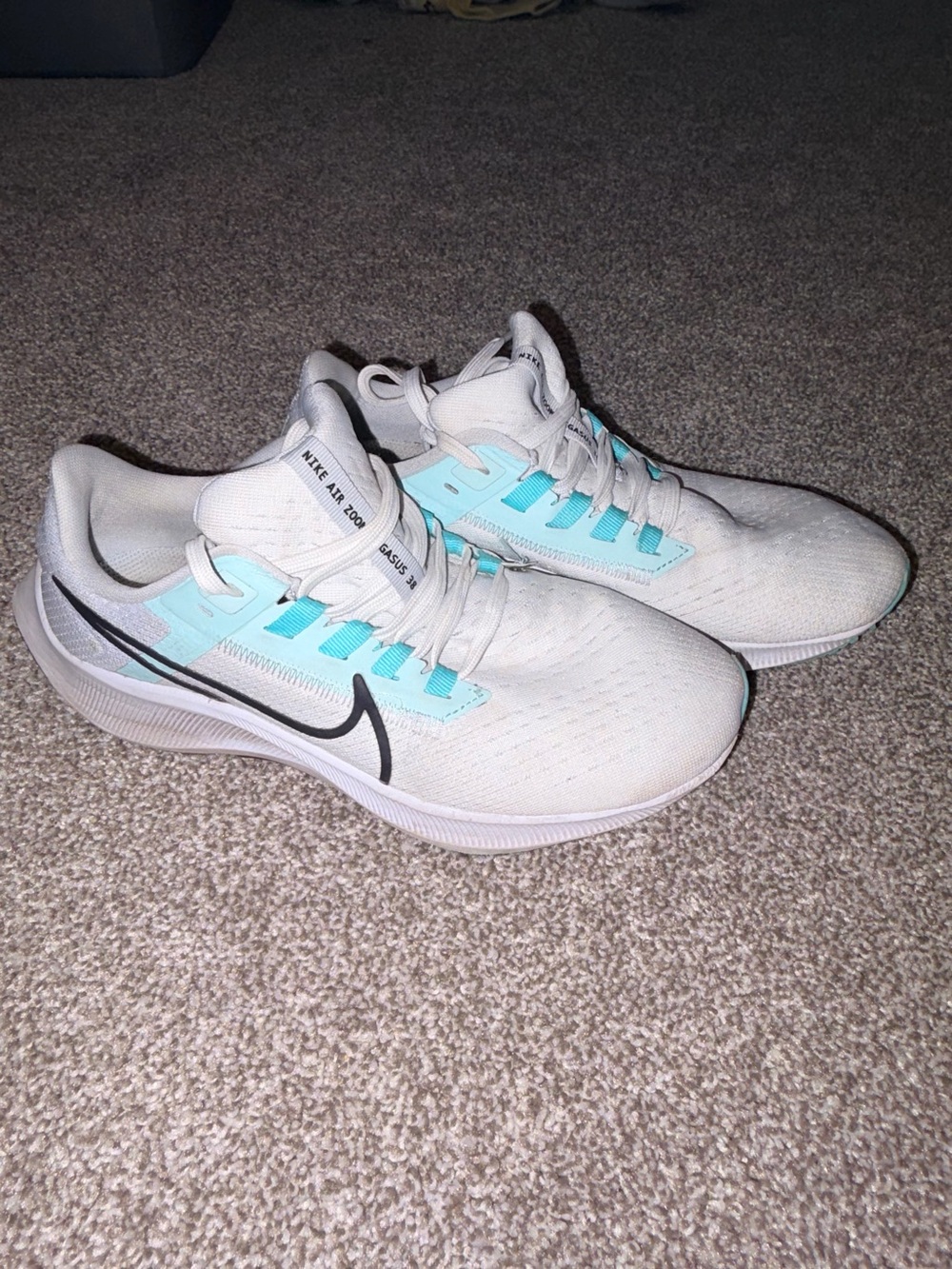 Nike Women’s White & Light Blue Pegasus